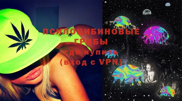 крисы Ельня