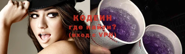 крисы Ельня