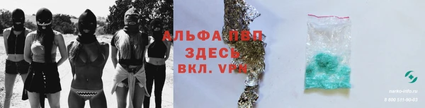 амф Елизово