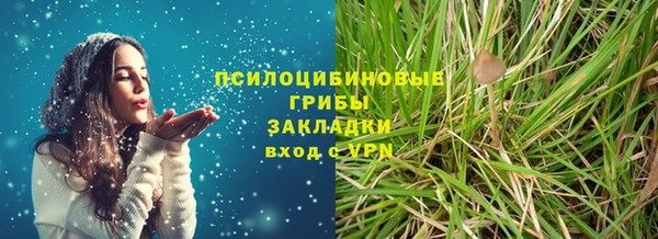 амф Елизово