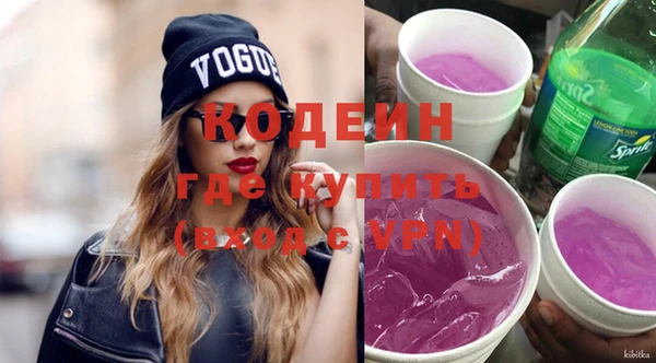 крисы Ельня