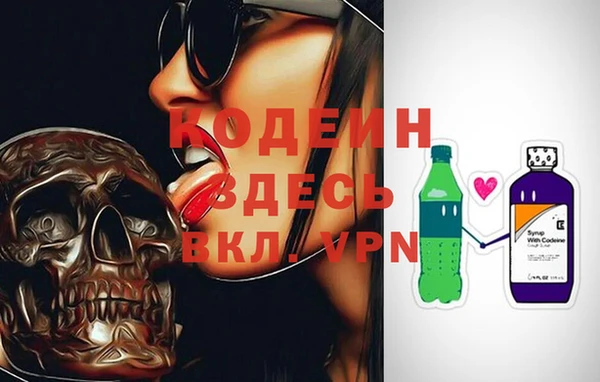амф Елизово