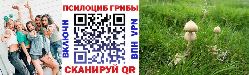 Псилоцибиновые грибы прущие грибы  Купить закладки  Вятские Поляны 